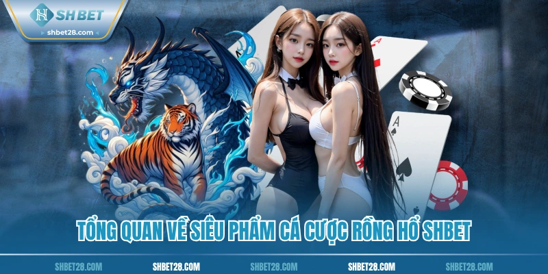 Tổng quan về siêu phẩm cá cược Rồng Hổ SHBET