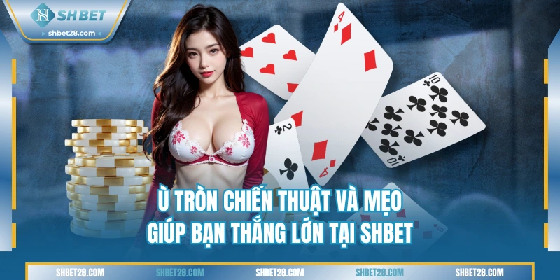 Ù Tròn SHBET